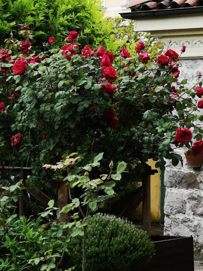 Bed and Breakfast East Wind Medea Esterno foto